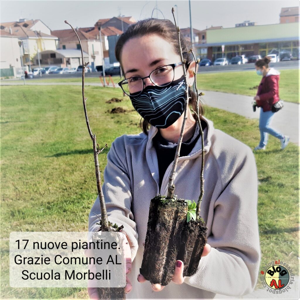 17 piantine piantate da BlogAL il 17 aprile alle ore 09.17 in Via Maria Bensi ad #ALESSANDRIA